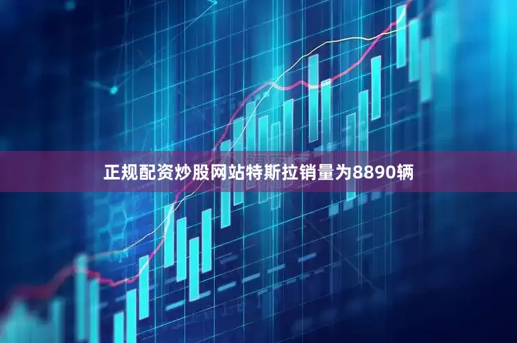 正规配资炒股网站特斯拉销量为8890辆